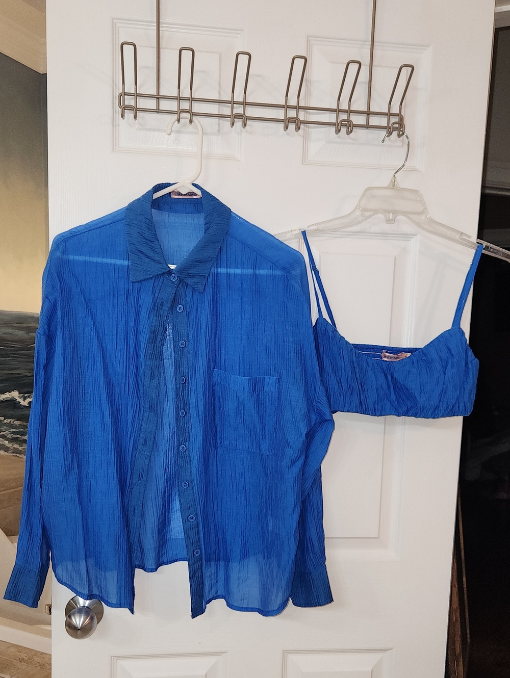 Sheer Blue Button-Up Shirt with Matching Crop Top - Women